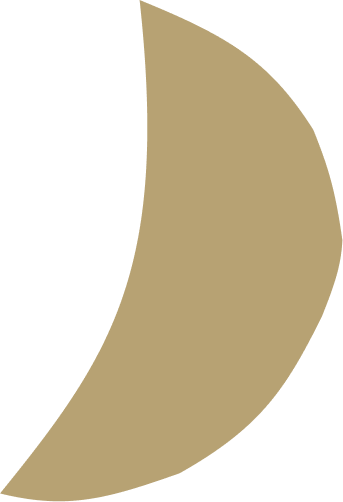 moon illustration